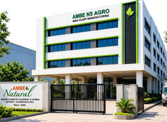 AMBE NS AGRO Noida Factory Facility